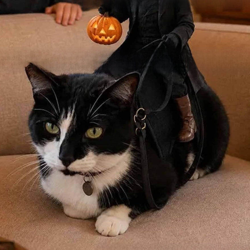 Decorative Cat Clothing