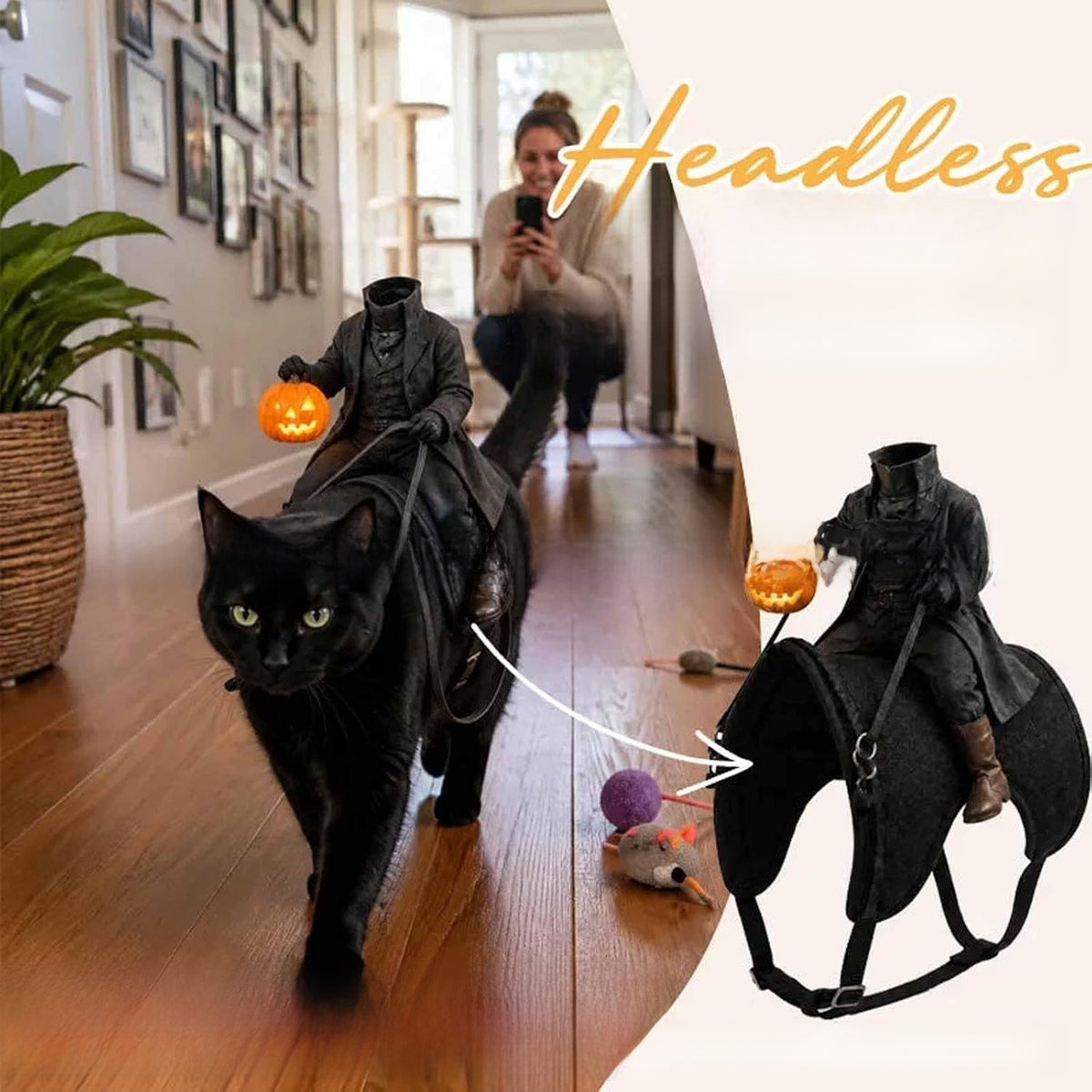 Decorative Cat Clothing