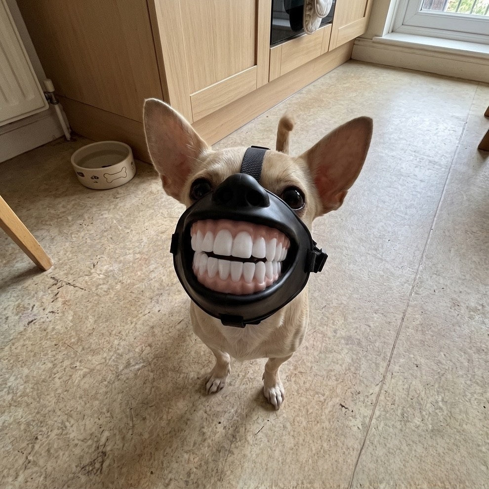 Funny Dog Muzzle Cover