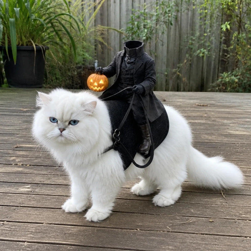 Halloween Cat Knight Pet Costume