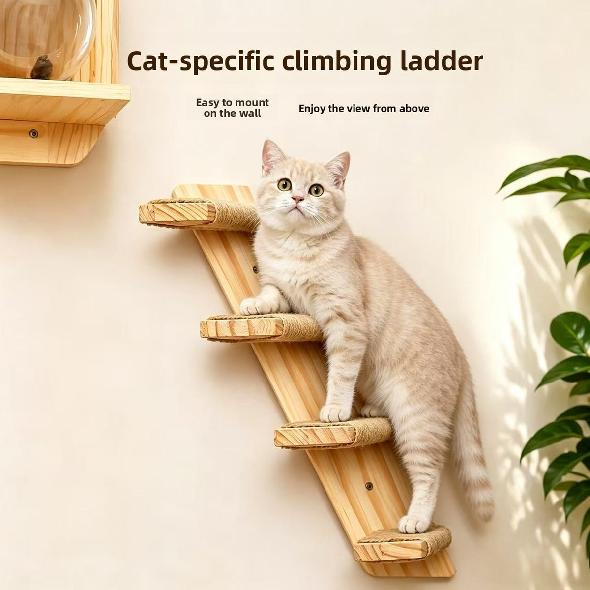 Solid Wood Wall-Mounted Cat Climbing Frame with Sisal Scratching Post