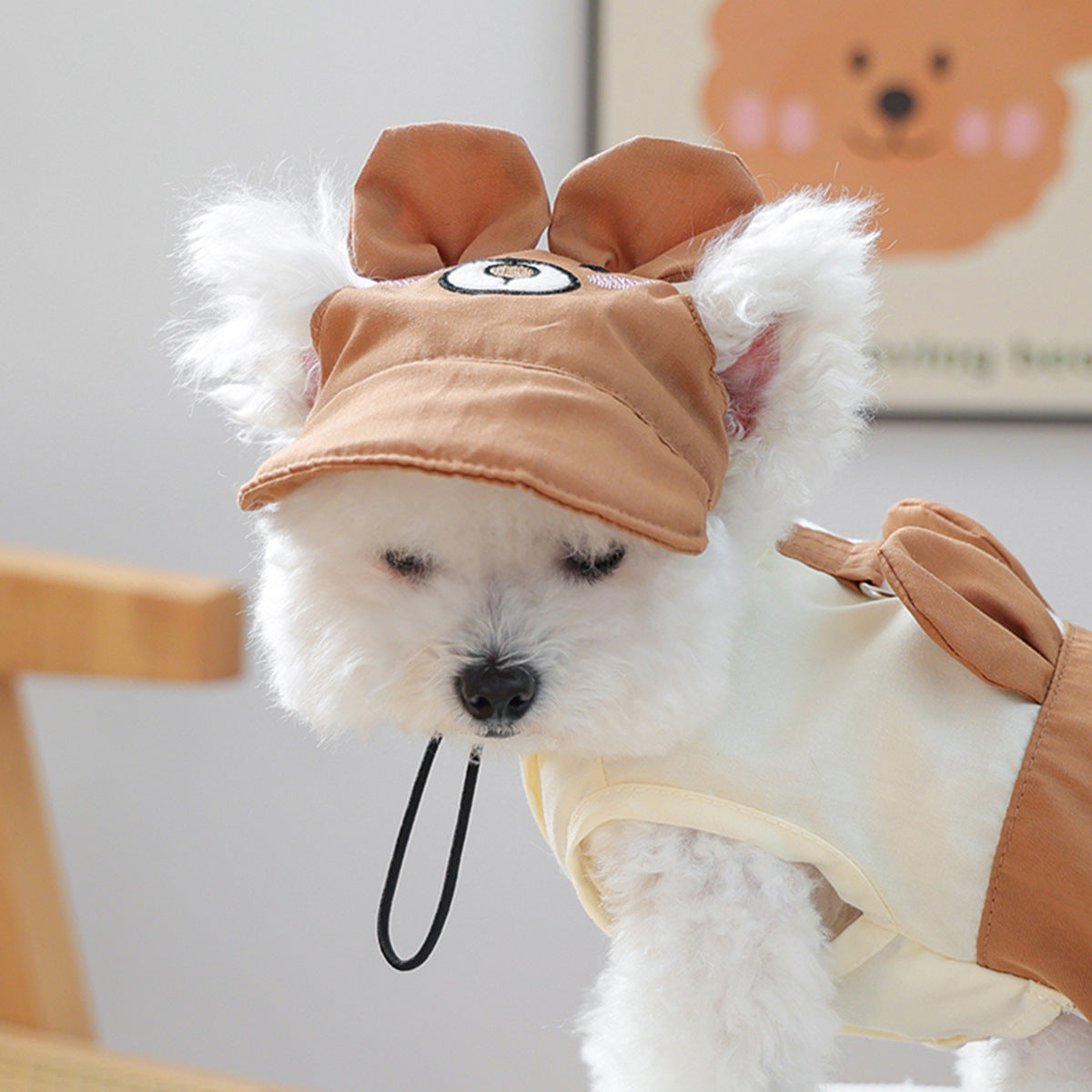Cat and dog sun protection hat