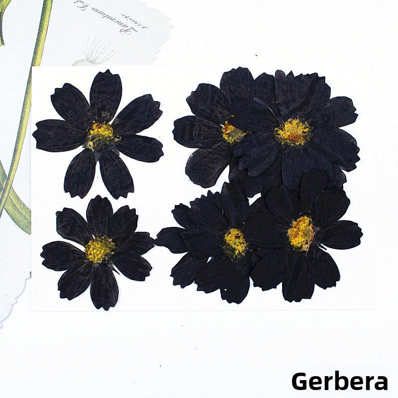 Black Dried Flowers DIY Craft Materials