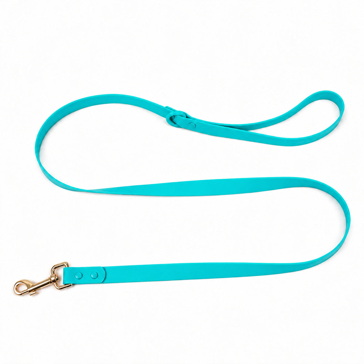 Waterproof PVC Dog Leash