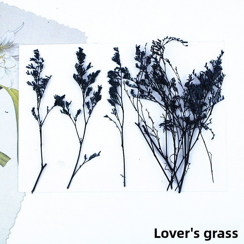 Black Dried Flowers DIY Craft Materials