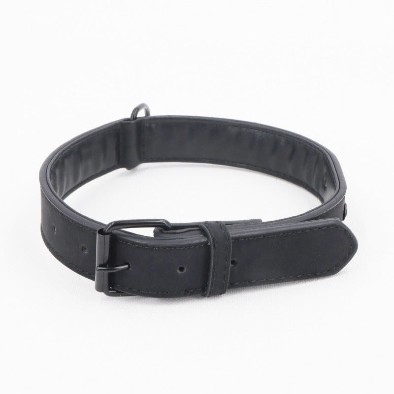 Frosted Anti-Loss Dog Collar