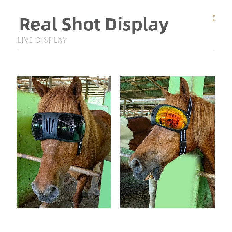 Pet UV Protective Sunglasses