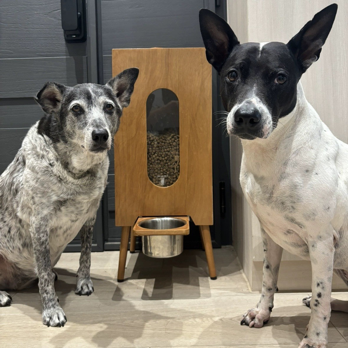Retro-style pet feeder