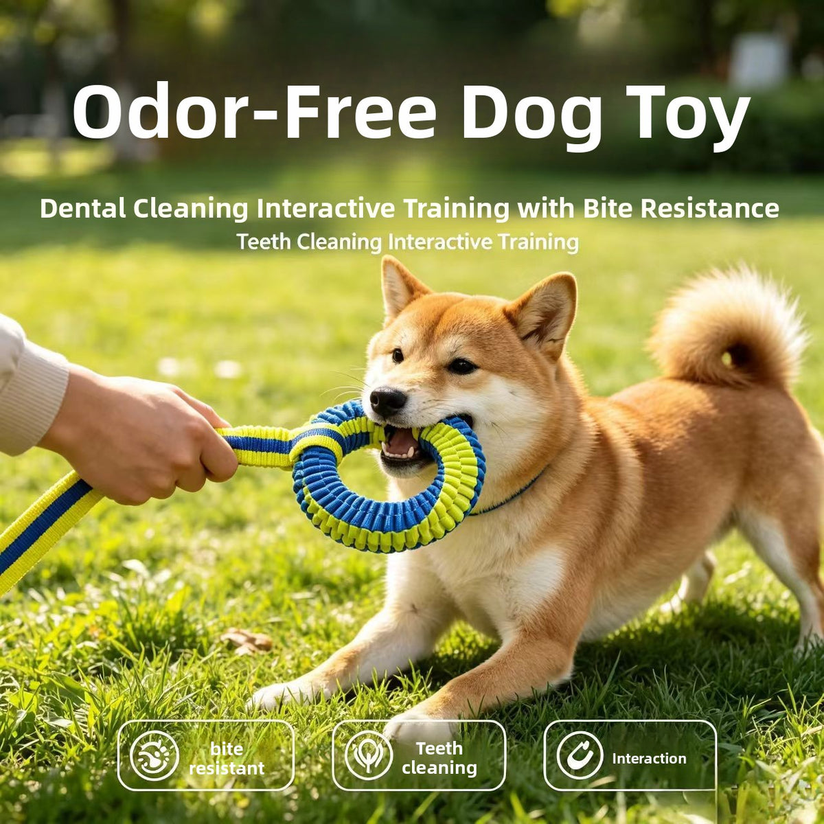 Nylon dog chew interactive toy