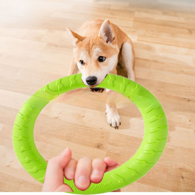 Durable Interactive Dog Chew Toy