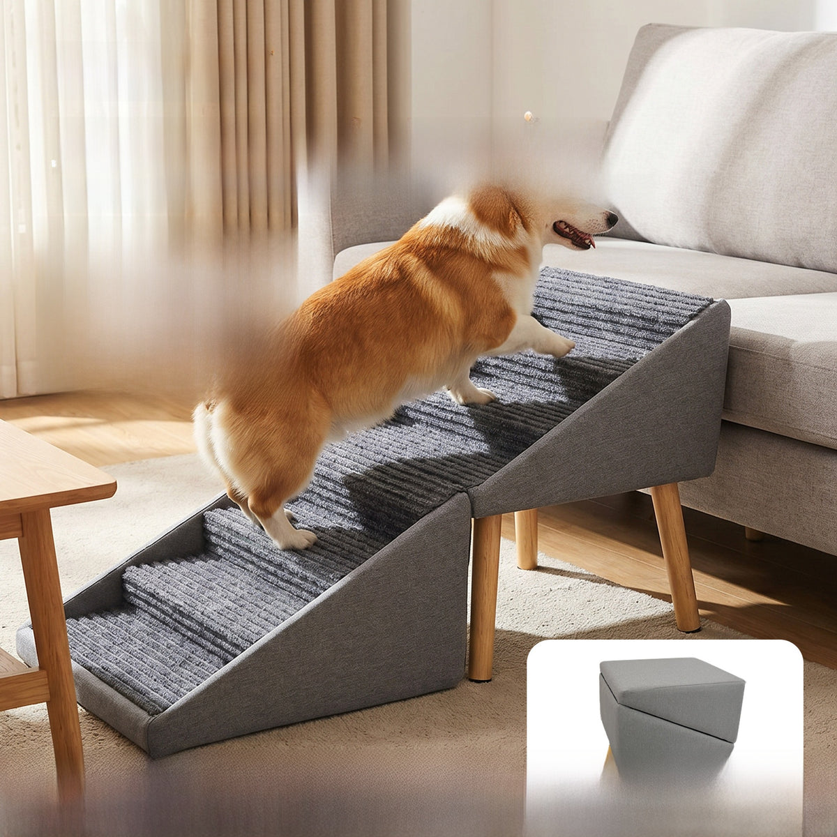 2-in-1 Dog Ramp and Step Stool
