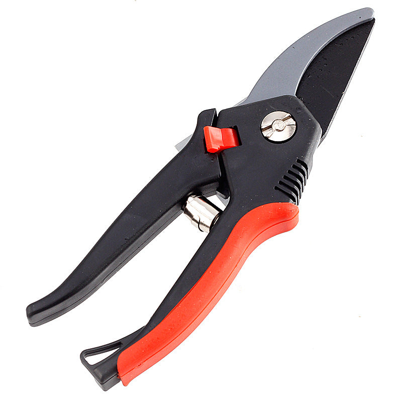 Pruning Shears for Fruit Trees
