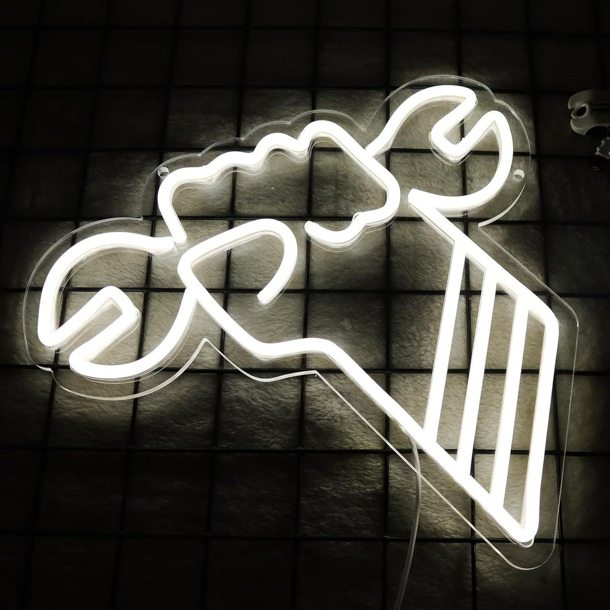 Neon Wall Light for Decorative Lighting