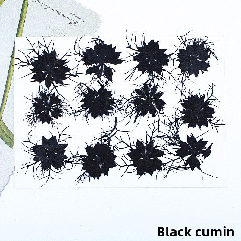 Black Dried Flowers DIY Craft Materials