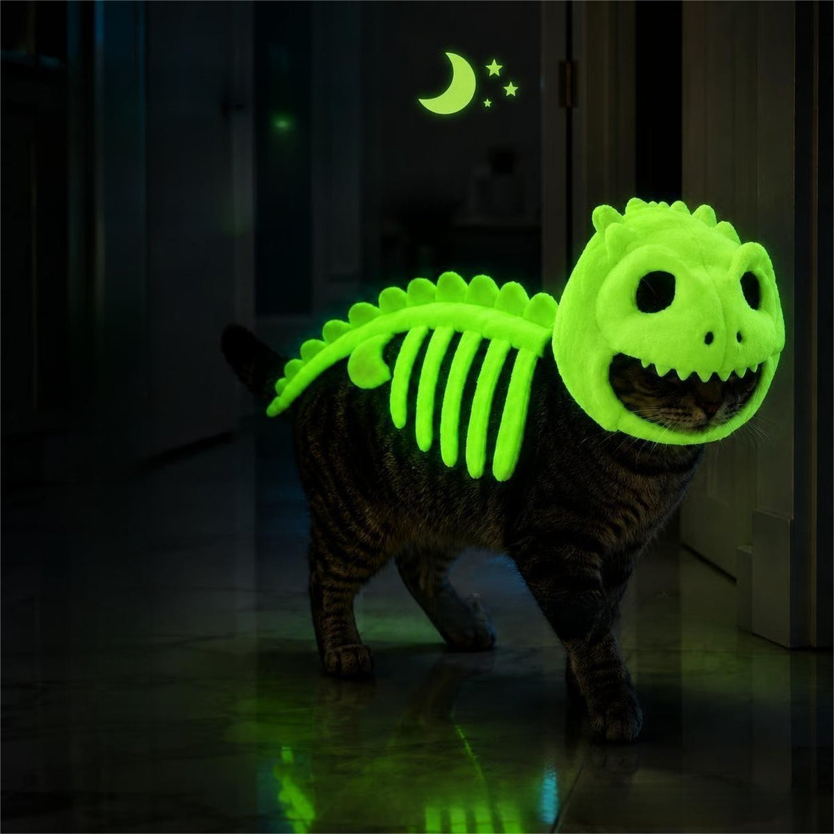 Dinosaur Skeleton Cat Costume