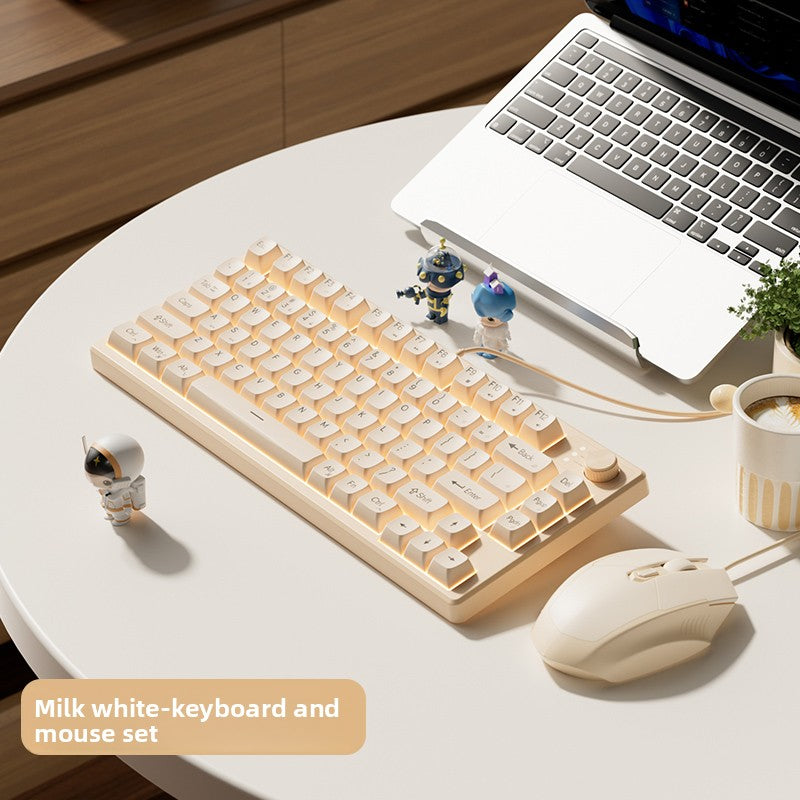 Mechanical Feel Silent Keyboard and Mouse Combo