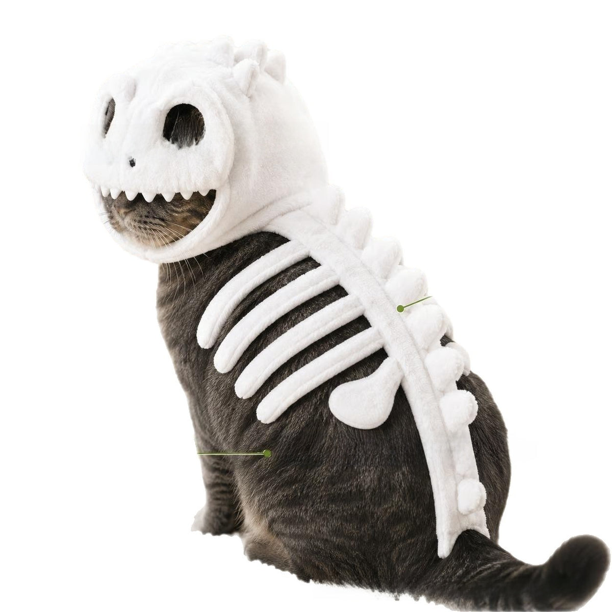 Dinosaur Skeleton Cat Costume
