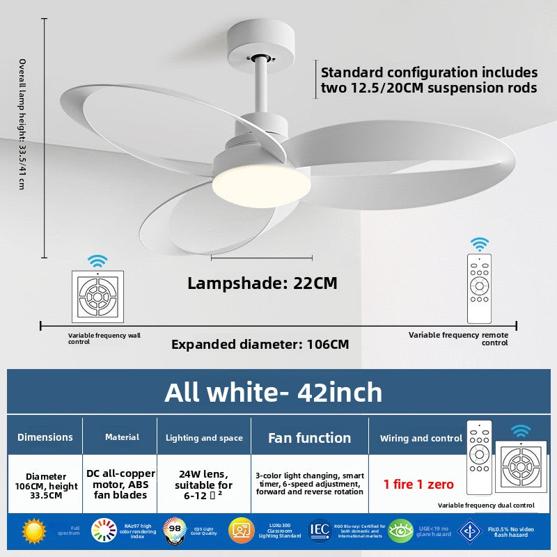Modern Ceiling Fan with LED Light