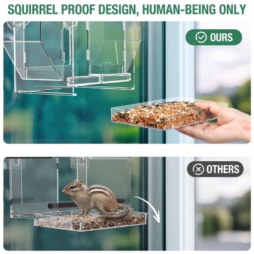 Window Mounted Bird Feeder