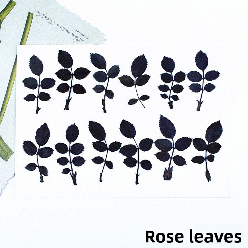 Black Dried Flowers DIY Craft Materials