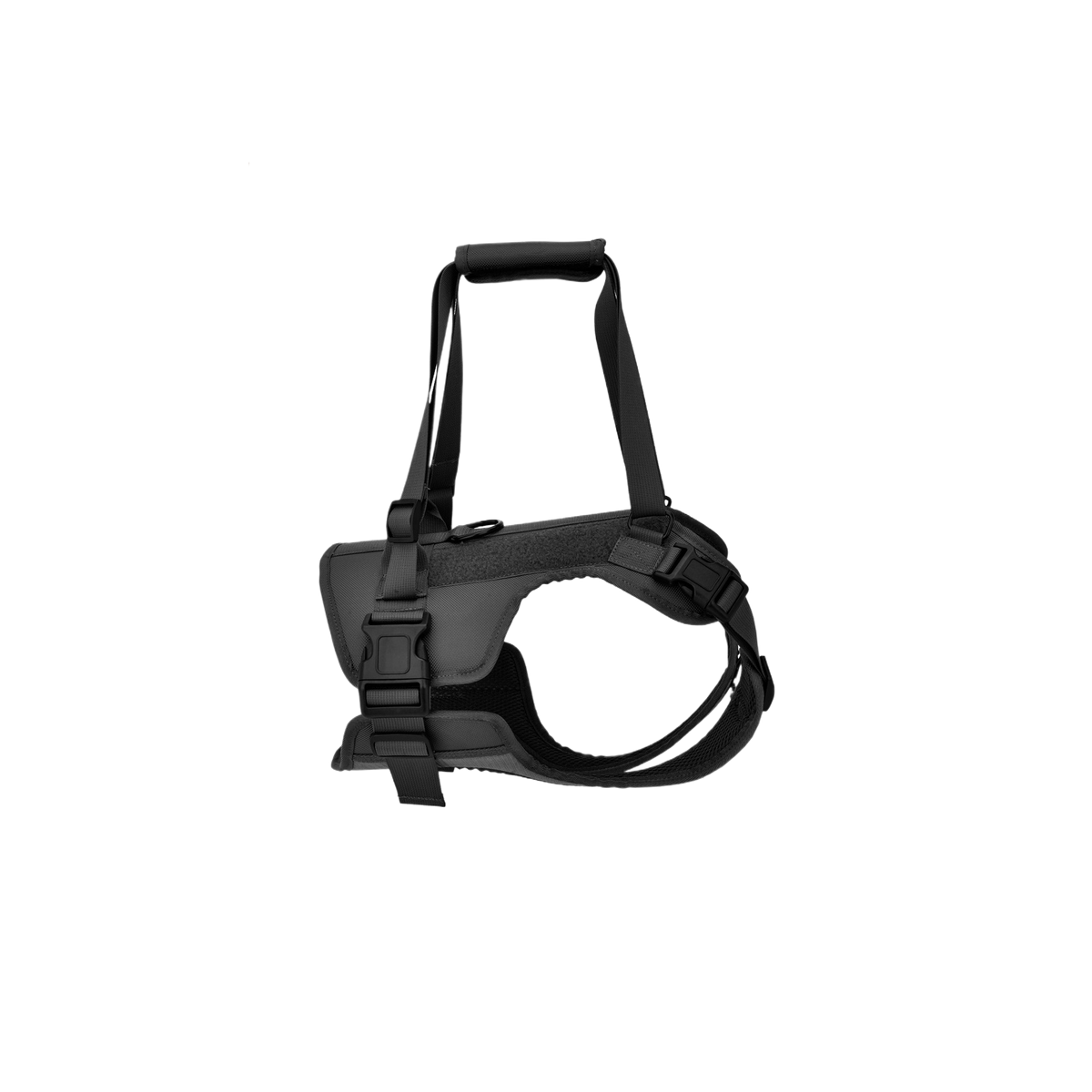 Dog Rehabilitation Training Vest
