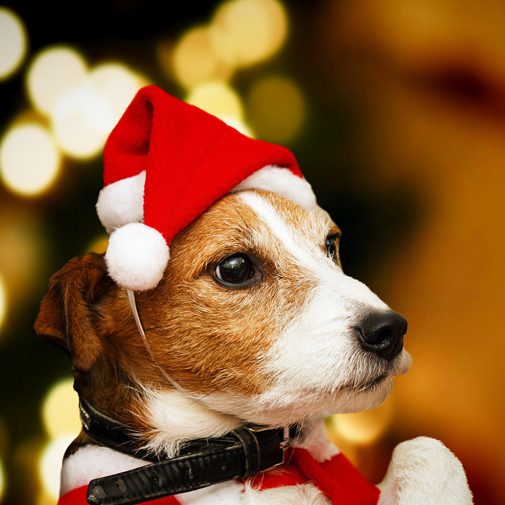 Plush Pet Christmas Hat, Festive Striped and Plaid Costume Headwear for Cats and Dogs