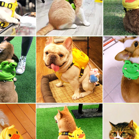 Pet backpack shoulder strap