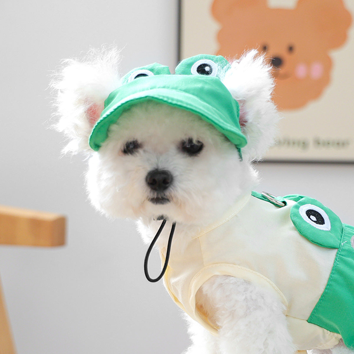 Cat and dog sun protection hat