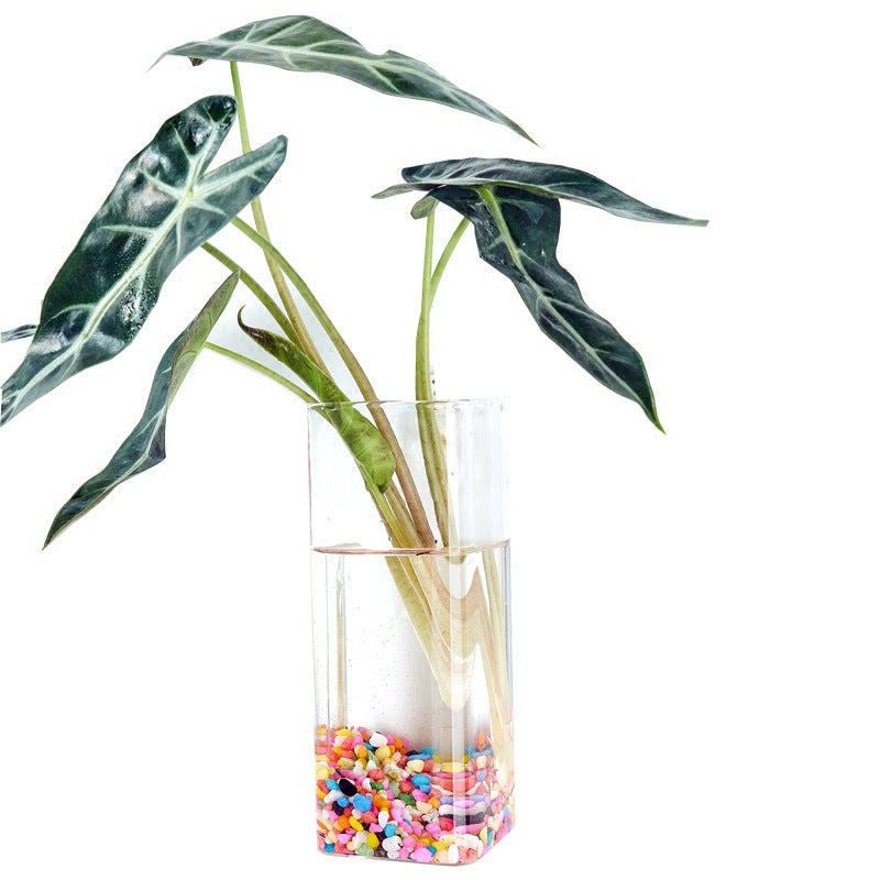 Modern minimalist flower vase