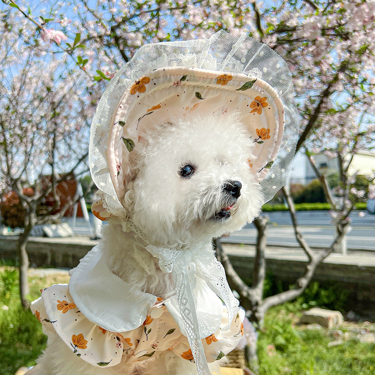 Cat and dog sun protection hat
