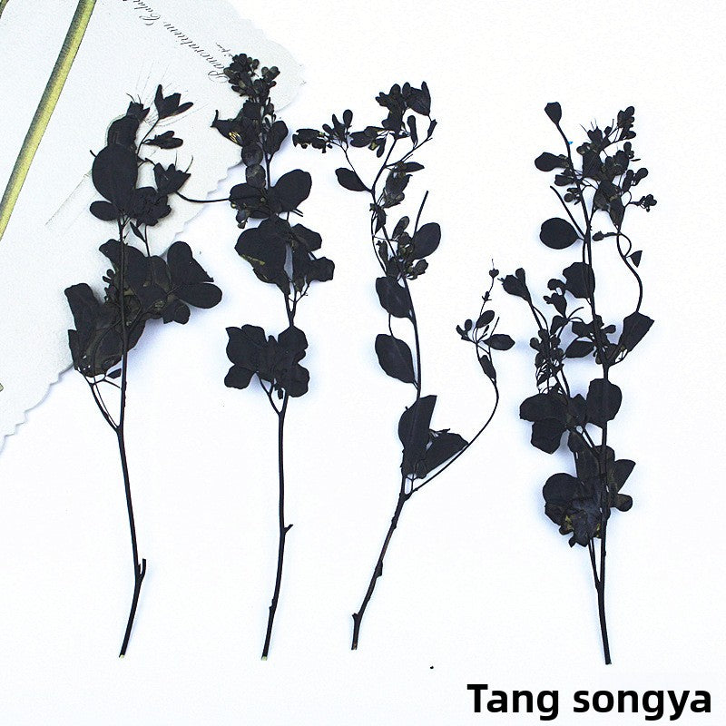 Black Dried Flowers DIY Craft Materials