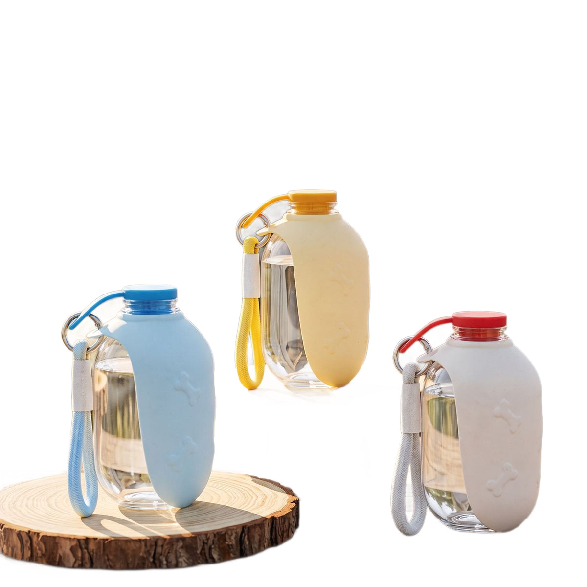 Pet water bottle