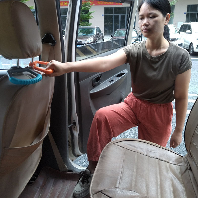 Vehicle Entry Assist Handle