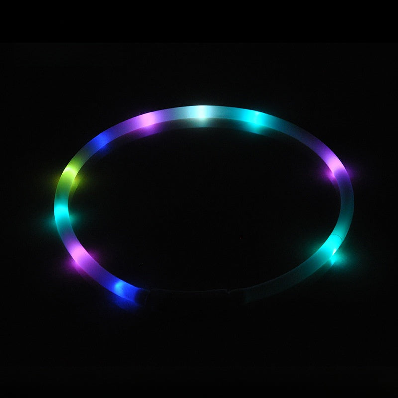 Dog luminous pet collar