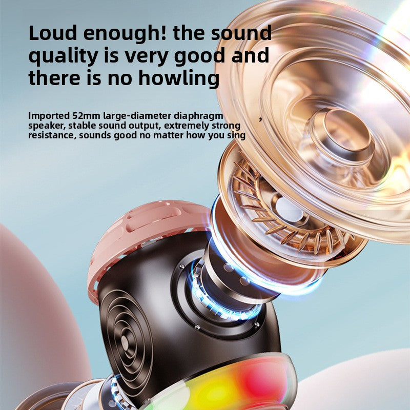 LED Wireless Karaoke Microphone with Speaker