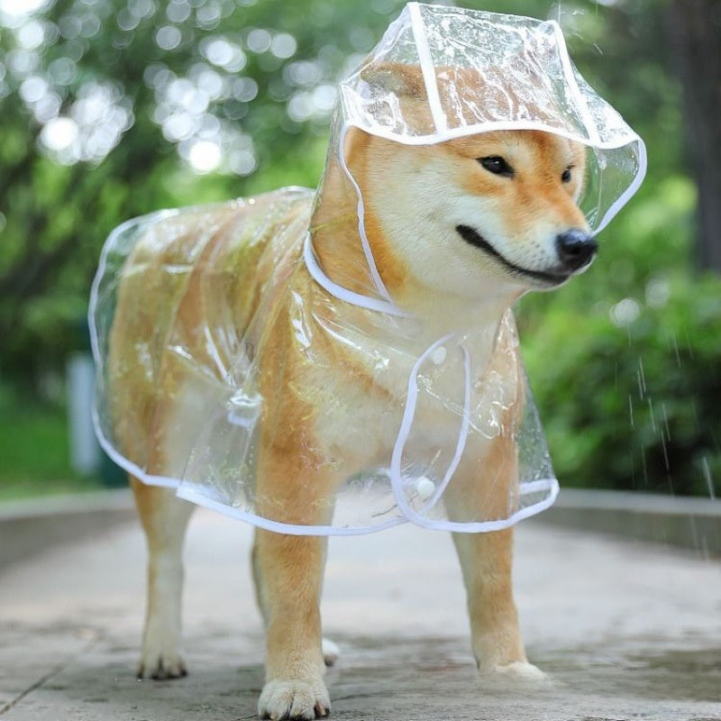 Four-legged dog raincoat