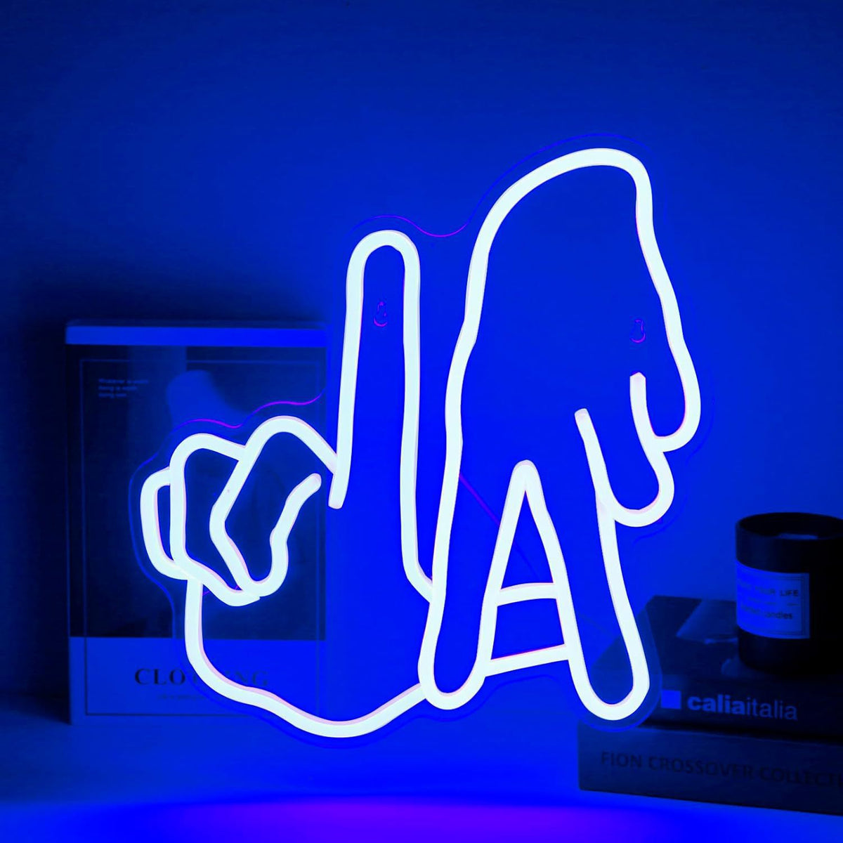 Neon Wall Light for Decorative Lighting