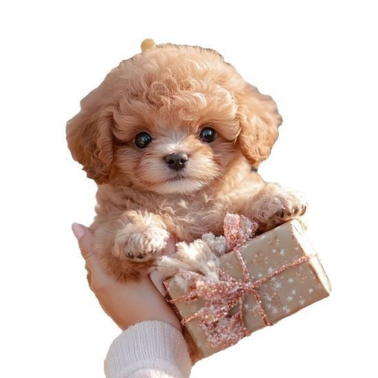Interactive Plush Toy Dog