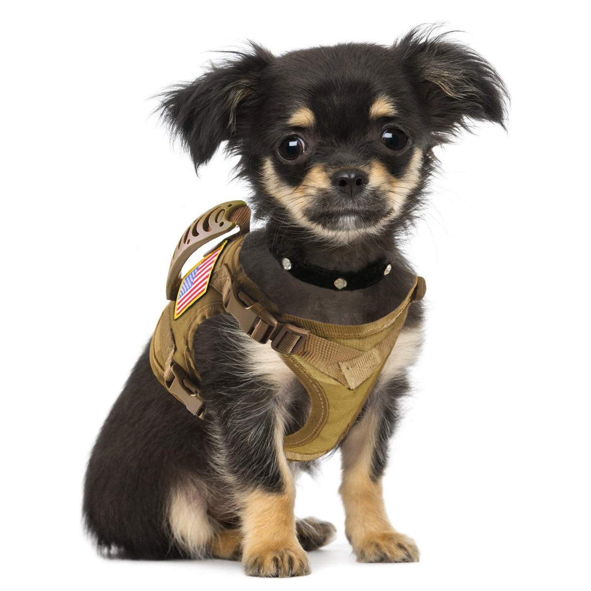 Outdoor tactical waterproof adjustable cat harness
