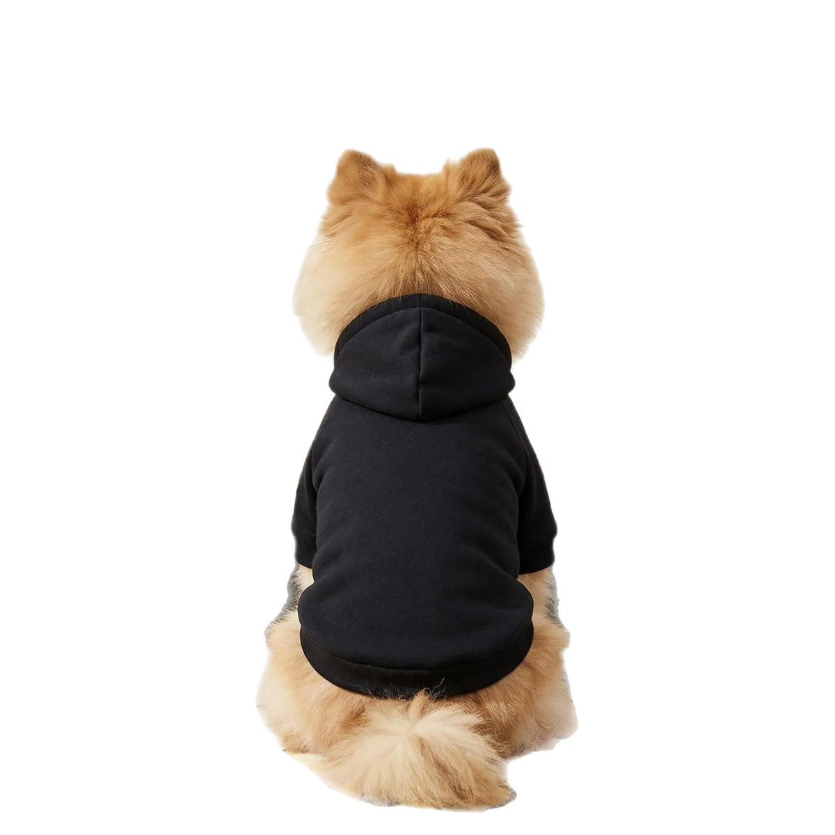 Thin Dog Hoodie Sweatshirt