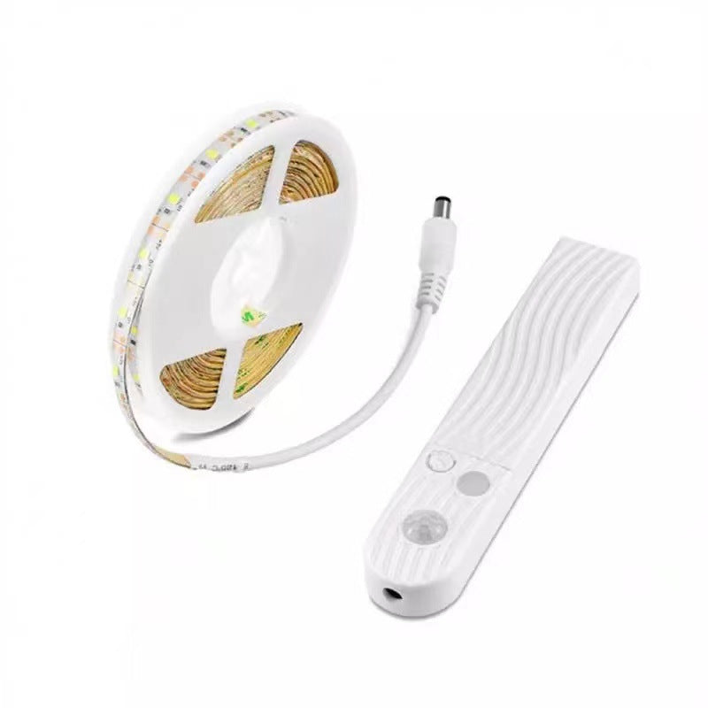 Human Body Sensor LED Strip Light