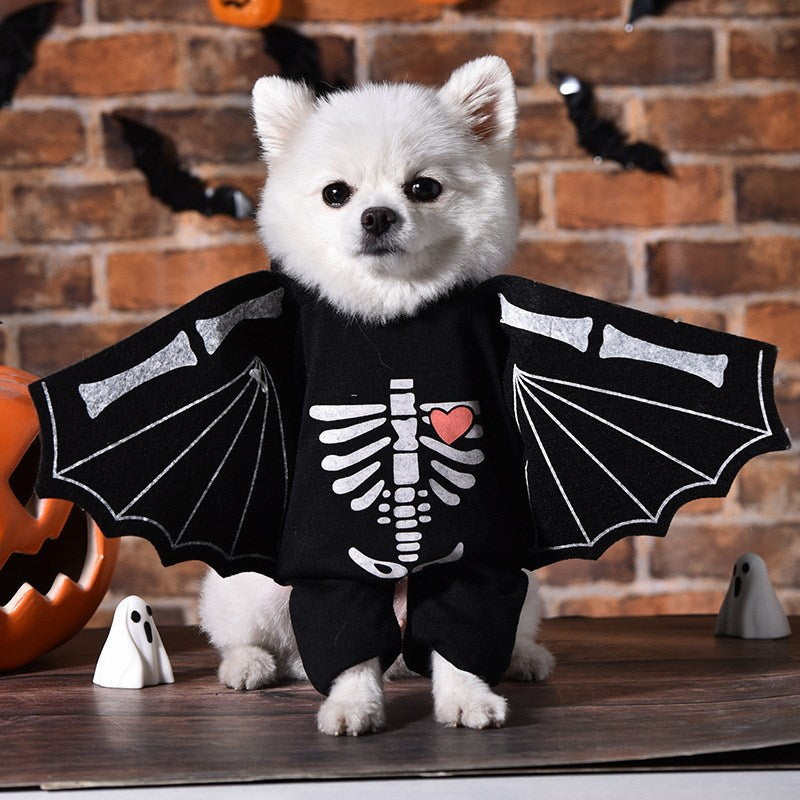Funny and Quirky Dog Clothes