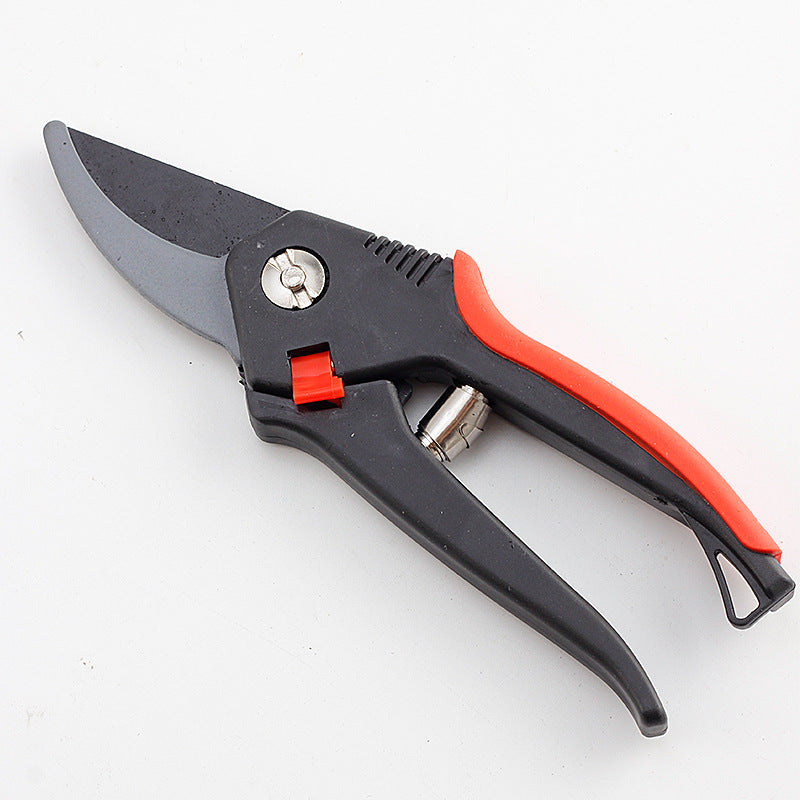 Pruning Shears for Fruit Trees