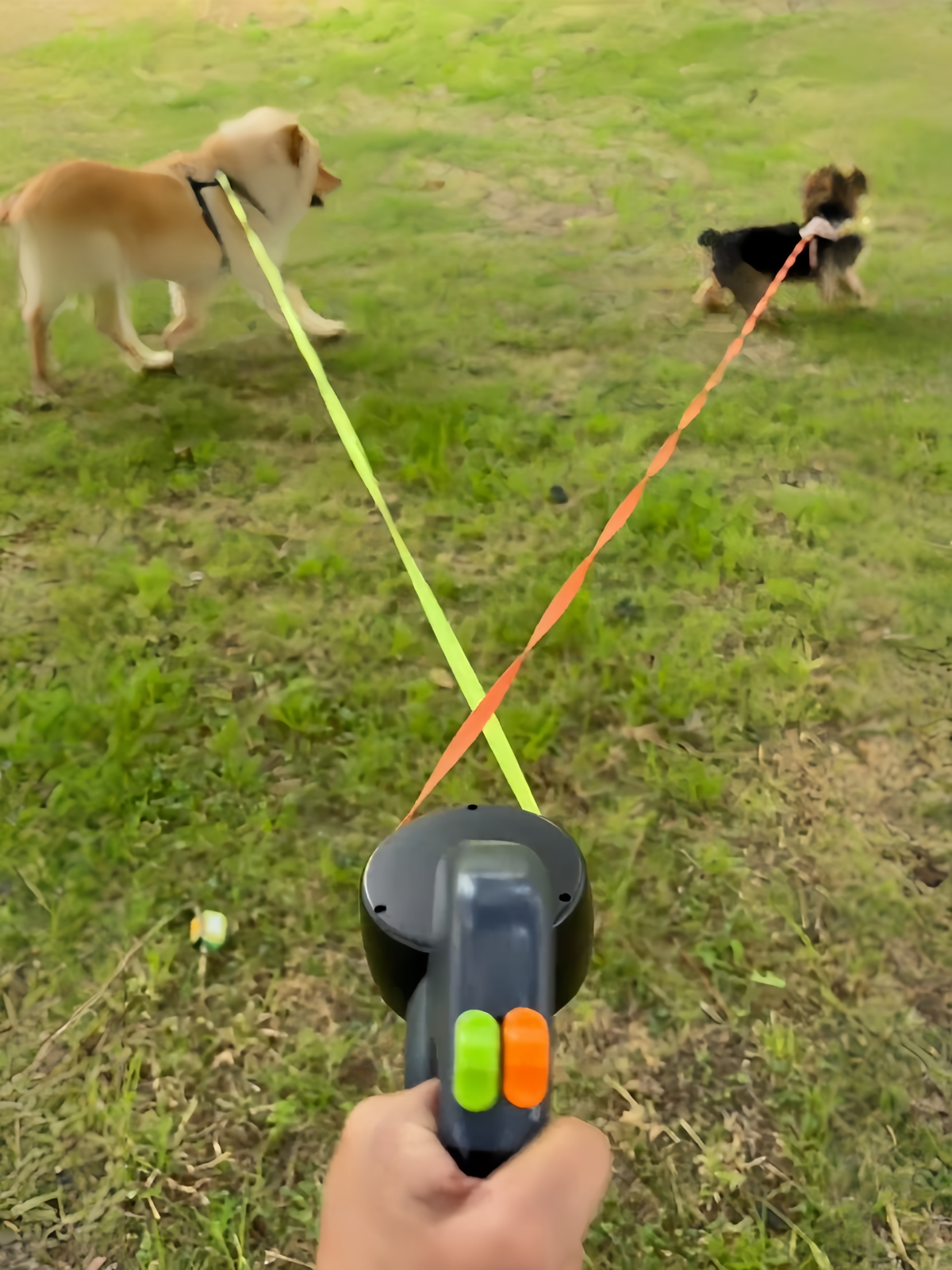 Double-ended extendable dog leash