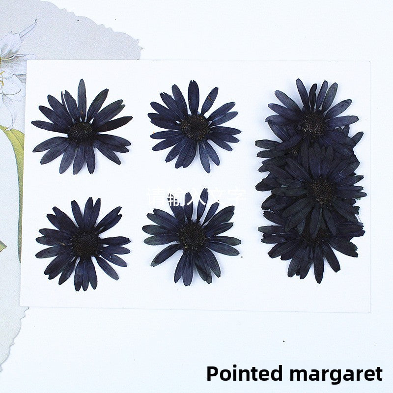 Black Dried Flowers DIY Craft Materials