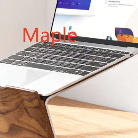 Laptop riser stand