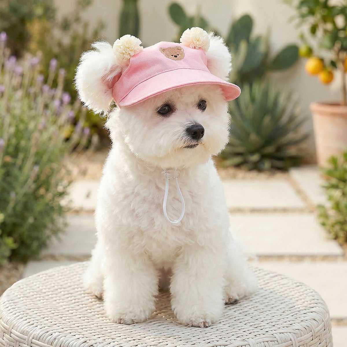 Cat and dog sun protection hat