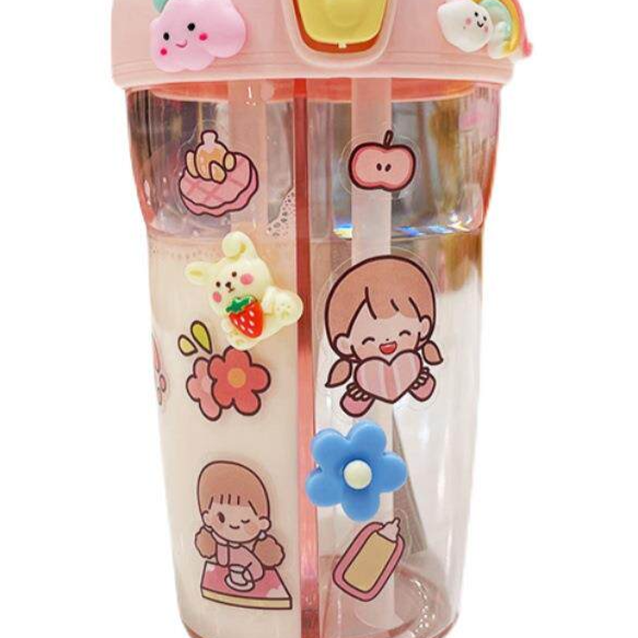 Double Straw Insulated Water Bottle