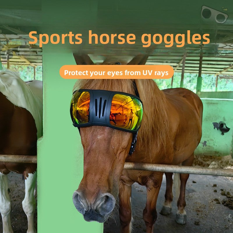 Pet UV Protective Sunglasses