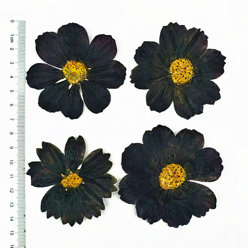 Black Dried Flowers DIY Craft Materials